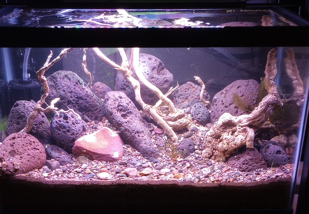 Lava rock 20lbs
