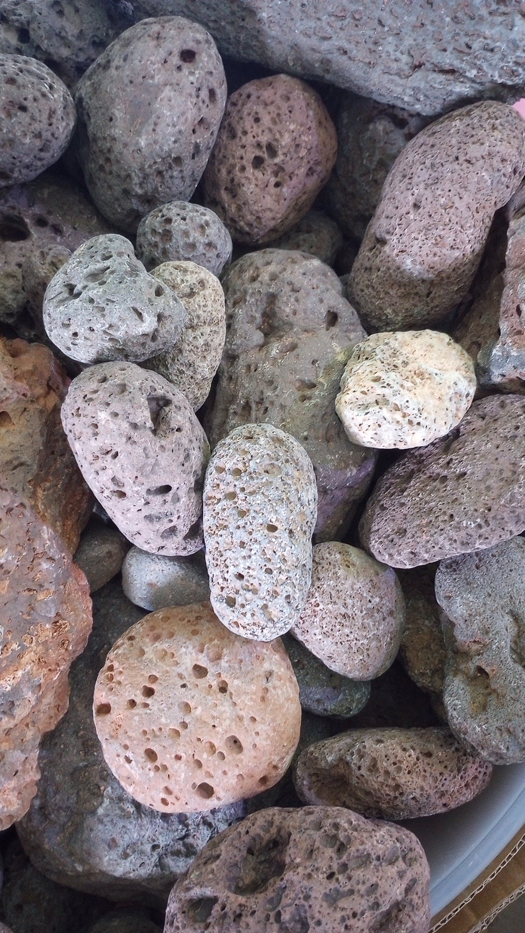 Lava rock 20lbs